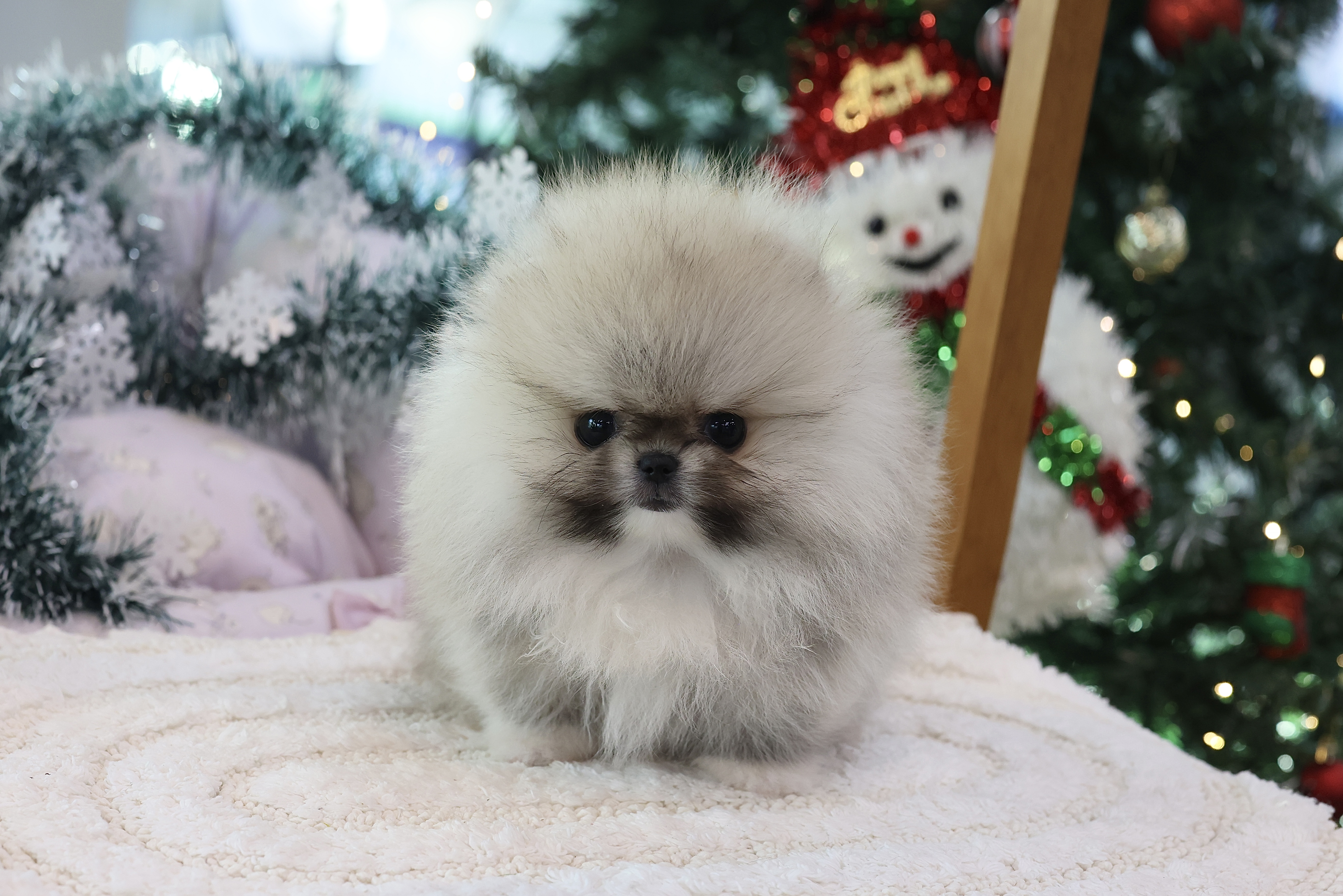 Photo Post thumbbail image