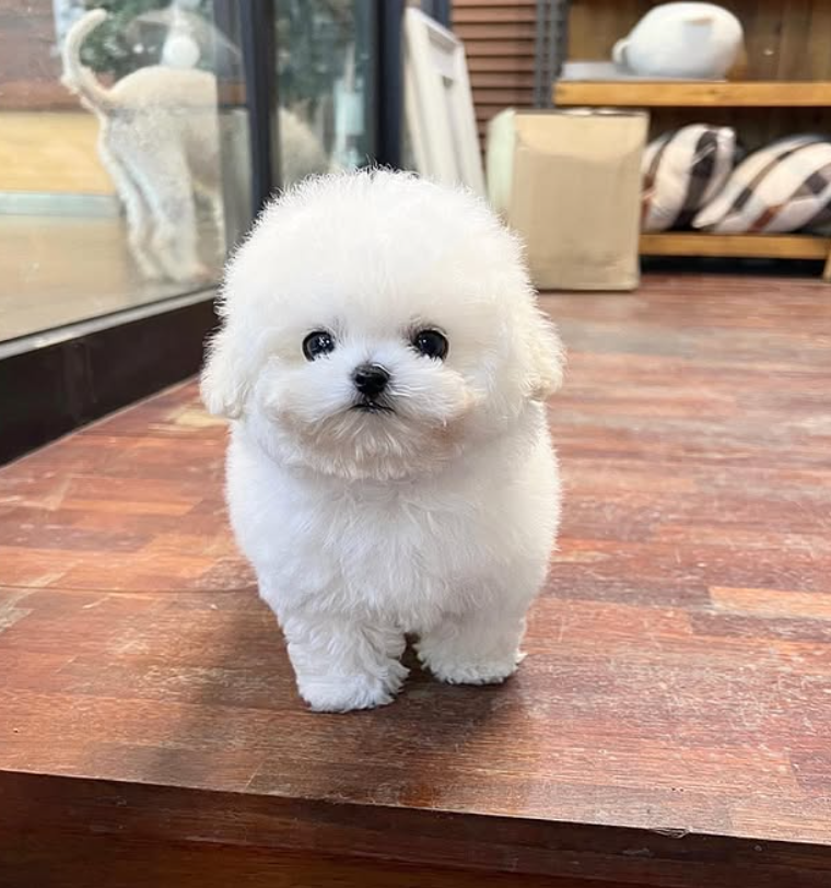 Photo Post thumbbail image